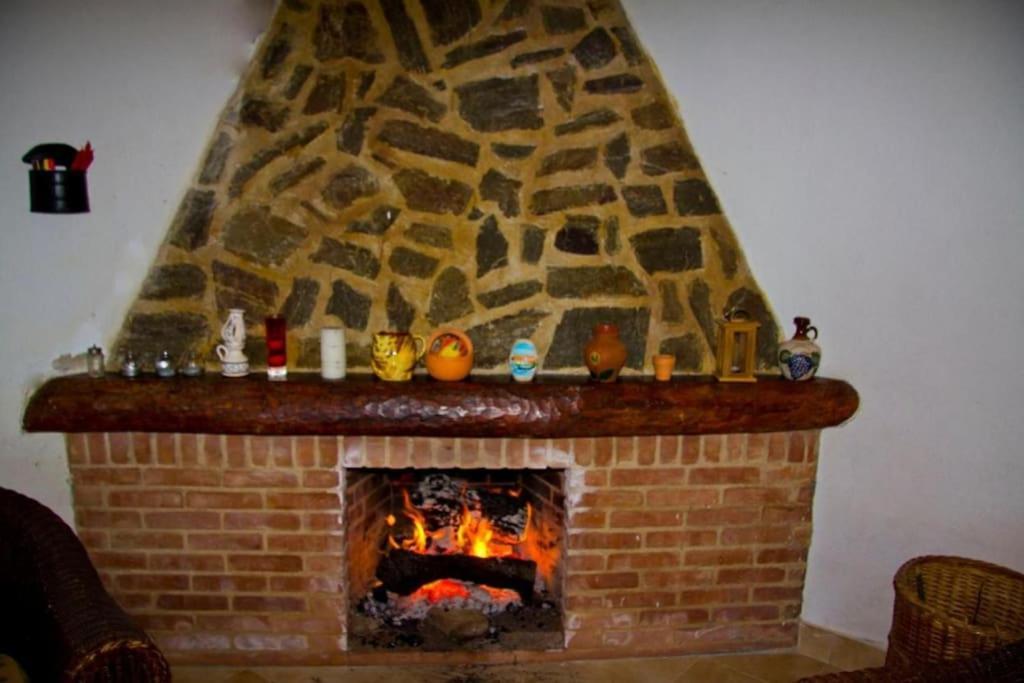 Hébergement de vacances Casa Da Ruiva